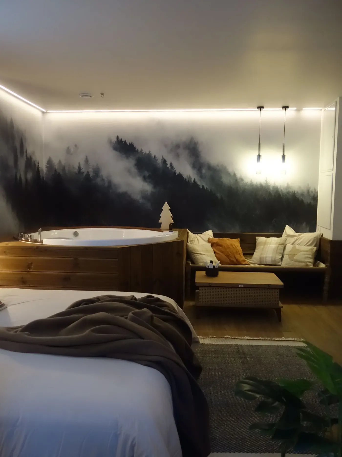 Chambre de La Bulle avec lit king size et jacuzzi privatif devant une fresque de montagne